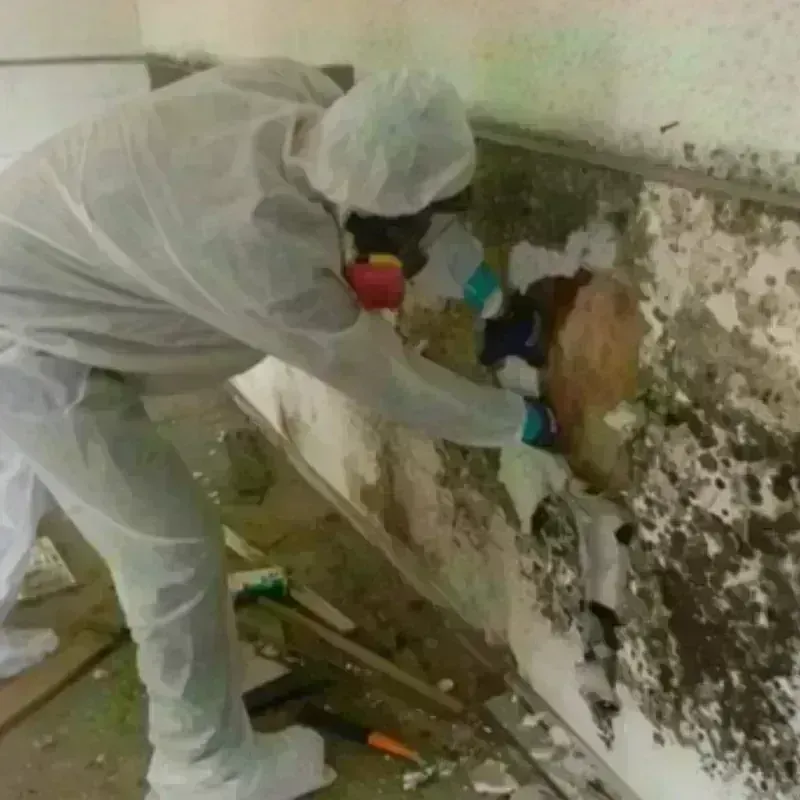 Mold Remediation and Removal in Washingtonville, NY